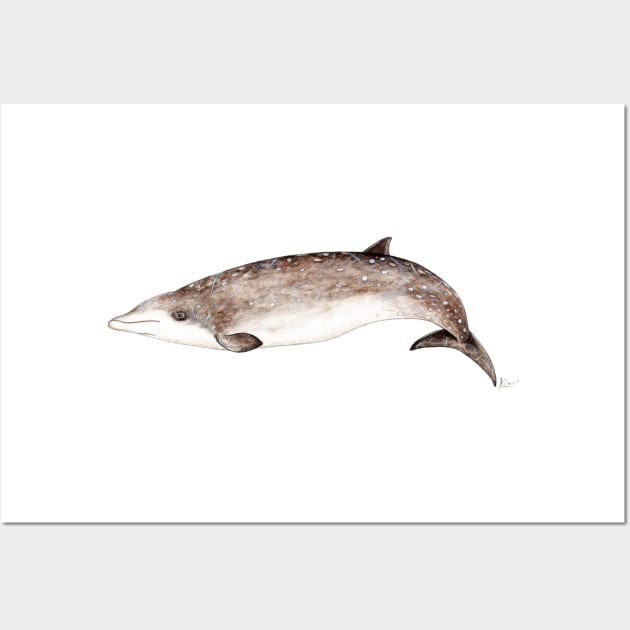 Beaked whale Wall Art by chloeyzoard